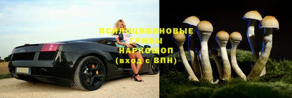 дурь Белоозёрский