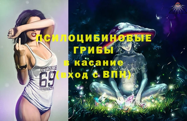 стафф Белокуриха