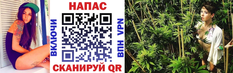 Конопля сатива  наркотики  Мыски 
